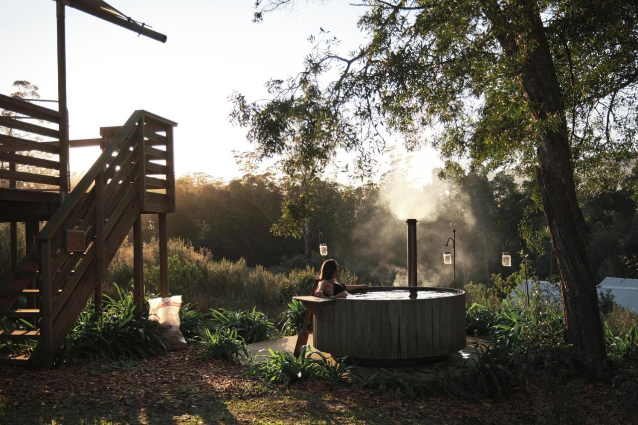 Africamps At Oakhurst Wildernis Extérieur photo